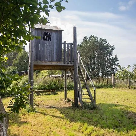 Tranquil In Ardennes